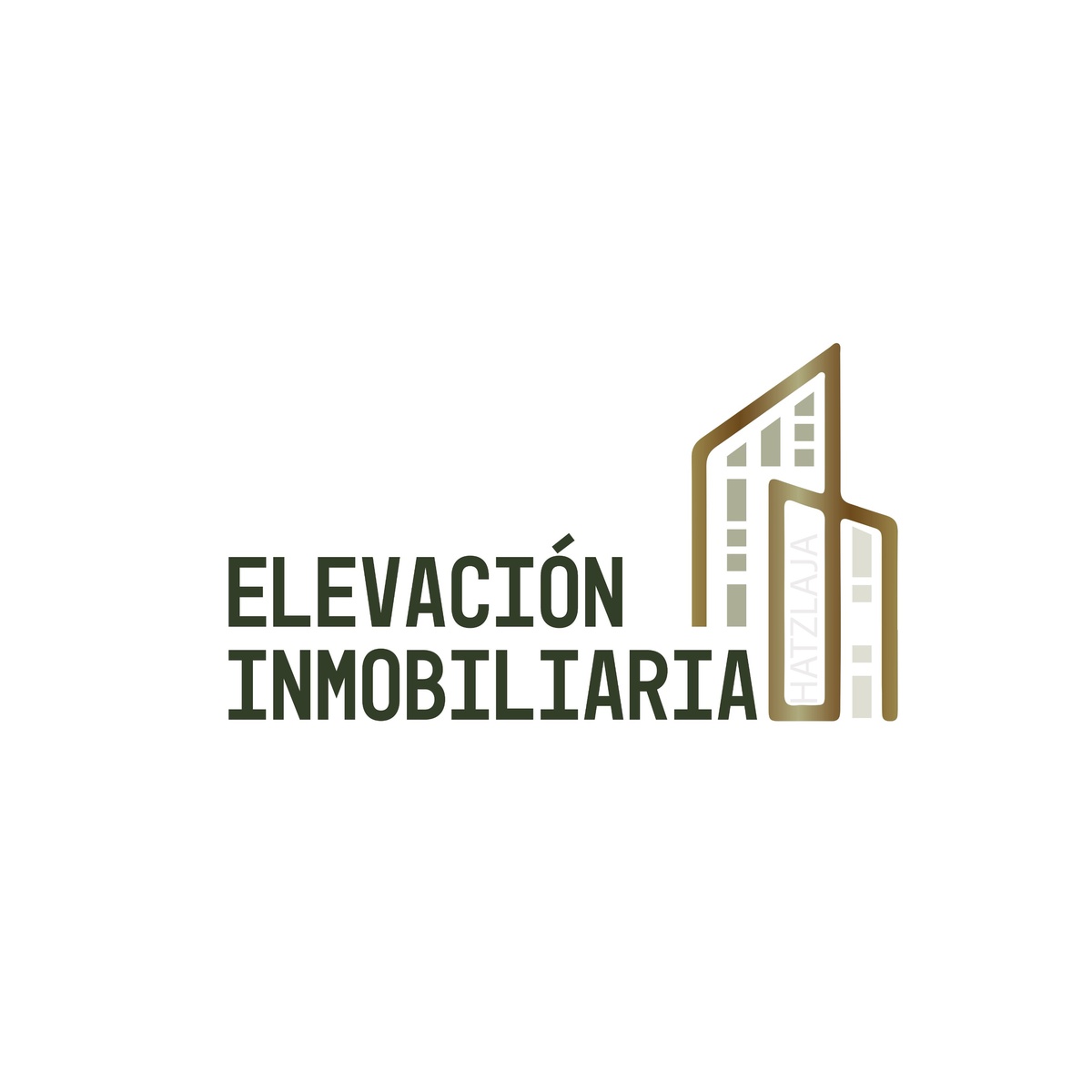 Elevación Inmobiliaria